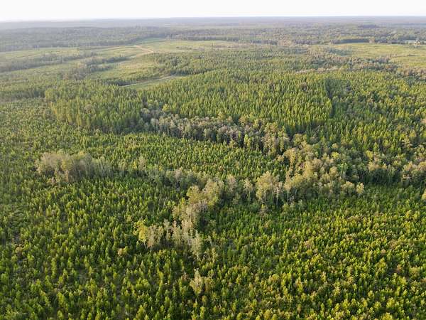 1,514 Acres of Recreational Land for Sale in Leakesville, Mississippi