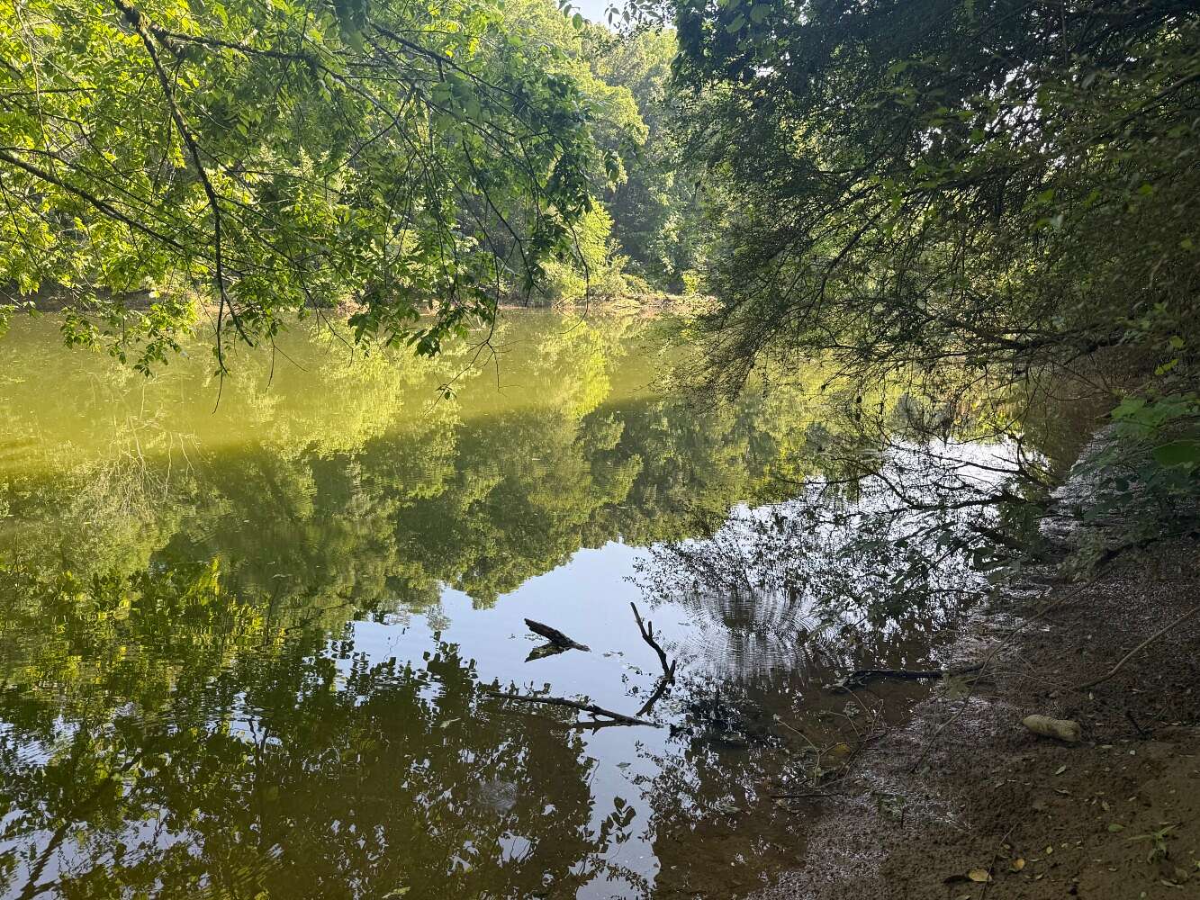 0.5 Acres of Residential Land for Sale in Sipsey, Alabama