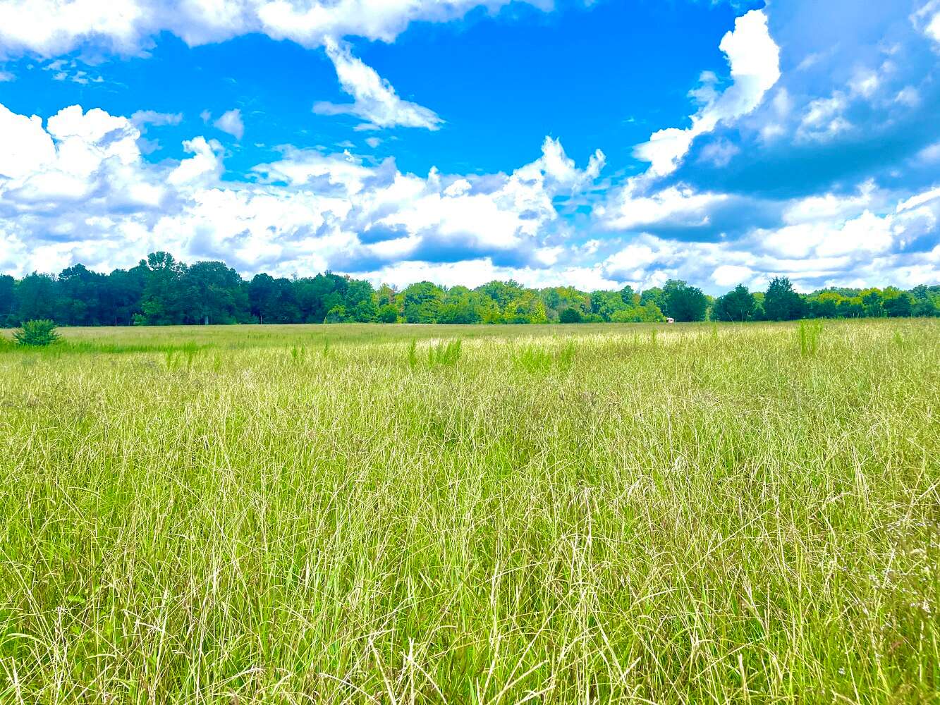 37.7 Acres of Agricultural Land for Sale in Vincent, Alabama