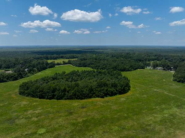 98.7 Acres of Land for Sale in Bay Minette, Alabama