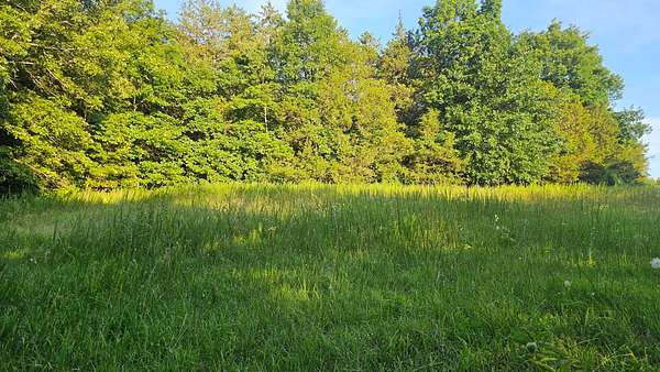 102 Acres of Recreational Land for Sale in St. Joe, Arkansas