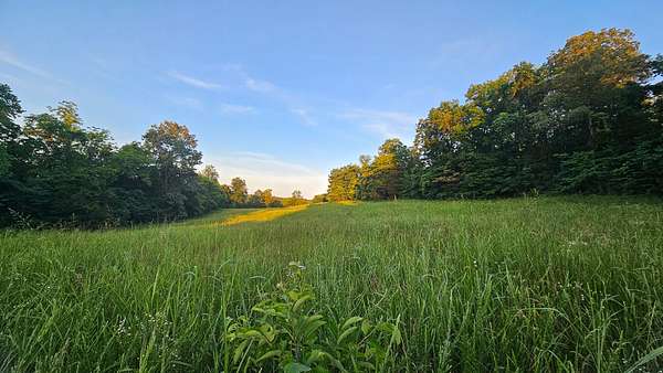 40 Acres of Land for Sale in St. Joe, Arkansas