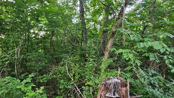 26 Acres of Recreational Land for Sale in St. Joe, Arkansas