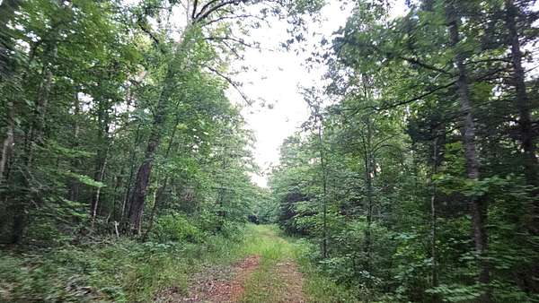 22 Acres of Recreational Land for Sale in St. Joe, Arkansas