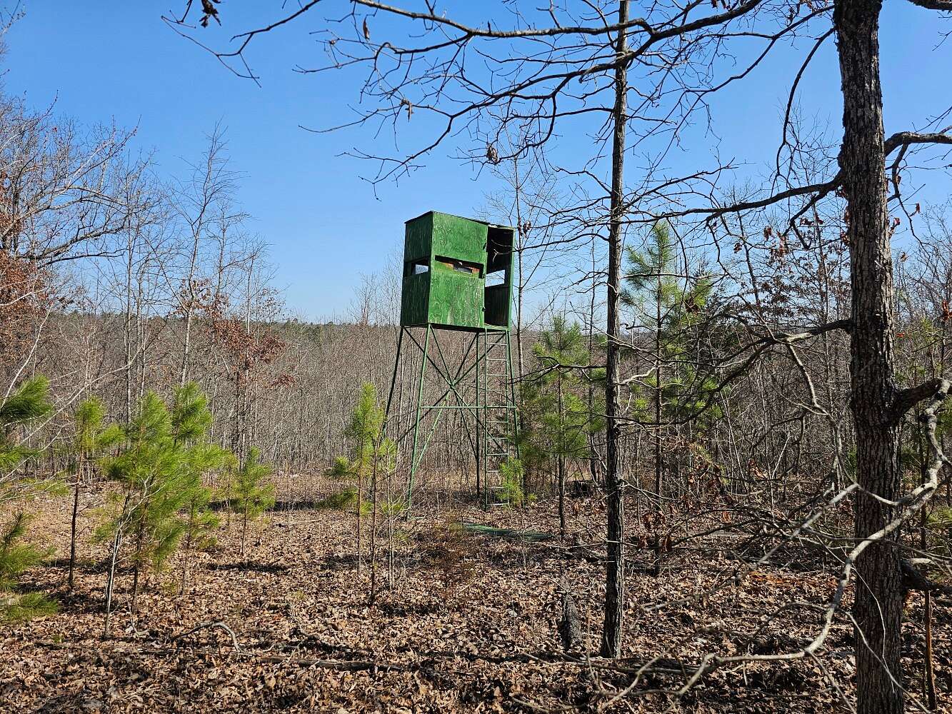 66 Acres of Recreational Land for Sale in St. Joe, Arkansas