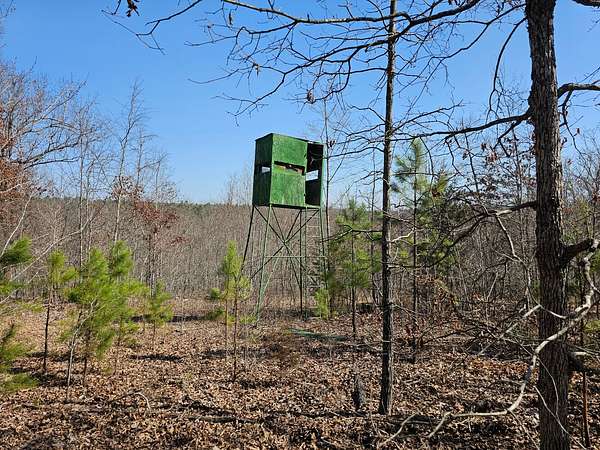66 Acres of Recreational Land for Sale in St. Joe, Arkansas