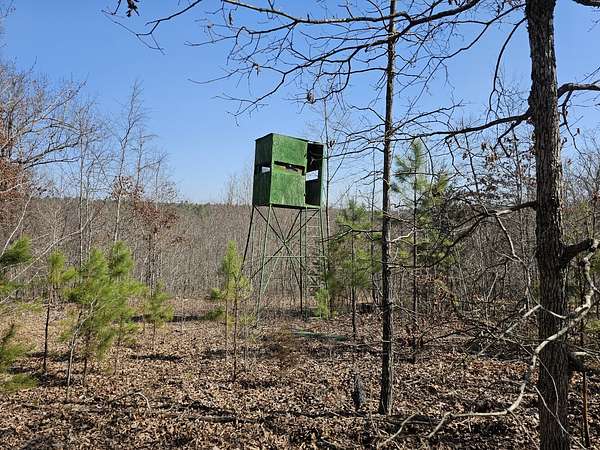 66 Acres of Recreational Land for Sale in St. Joe, Arkansas