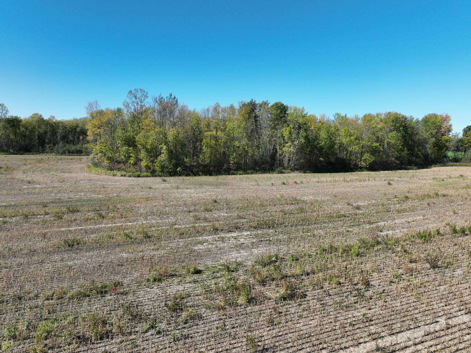 10.4 Acres of Land for Sale in Abrams, Wisconsin