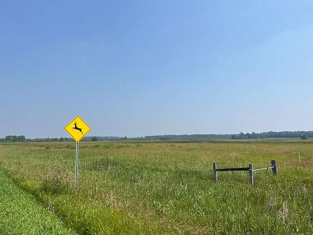 30 Acres of Land for Sale in Parkers Prairie, Minnesota