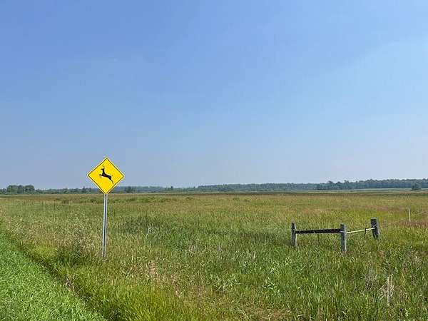 30 Acres of Land for Sale in Parkers Prairie, Minnesota