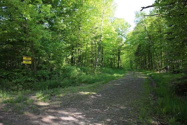 611 Acres of Recreational Land for Sale in Gilman, Wisconsin