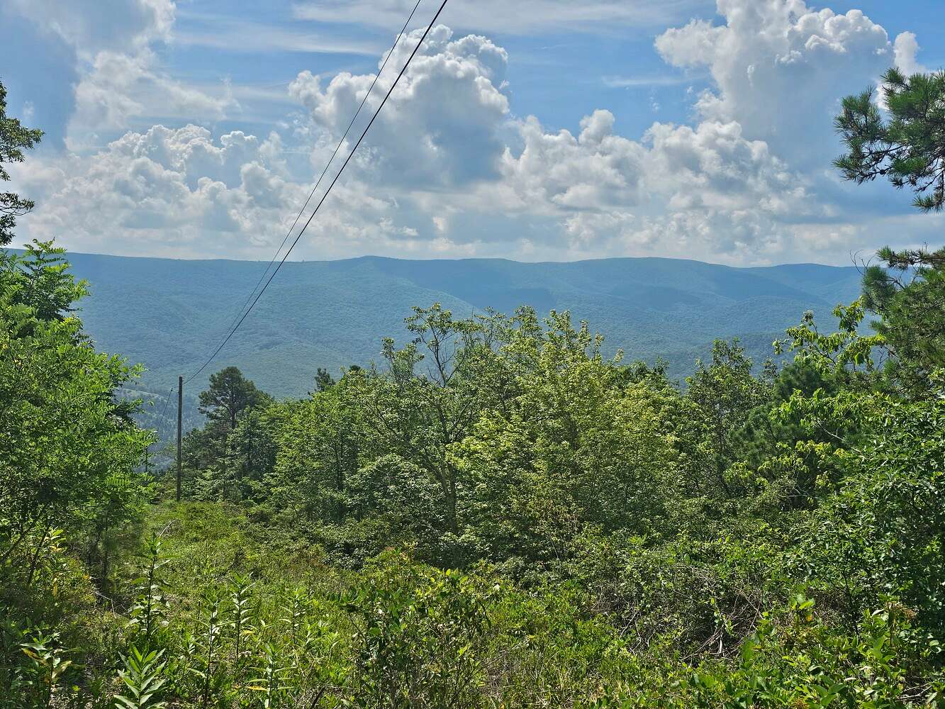 5 Acres of Land for Sale in Monterey, Virginia