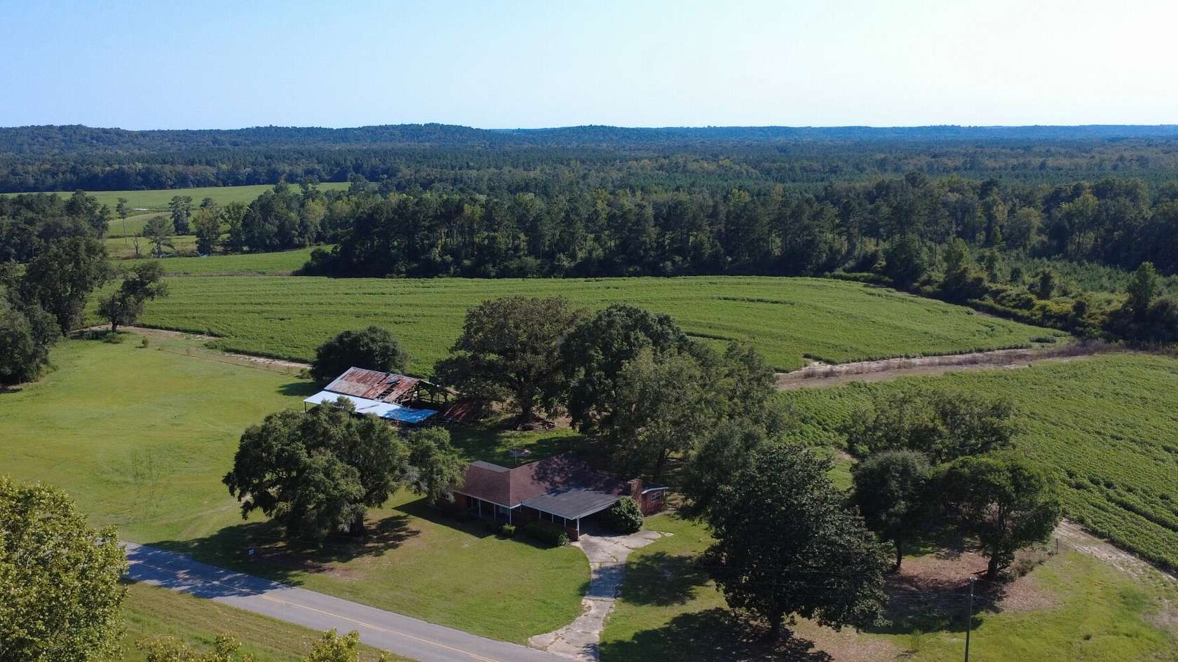 223 Acres of Land for Sale in New Brockton, Alabama