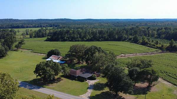 223 Acres of Land for Sale in New Brockton, Alabama