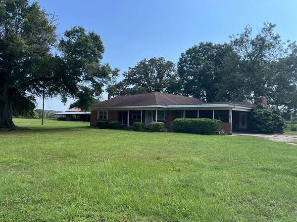 11 Acres of Agricultural Land for Sale in New Brockton, Alabama