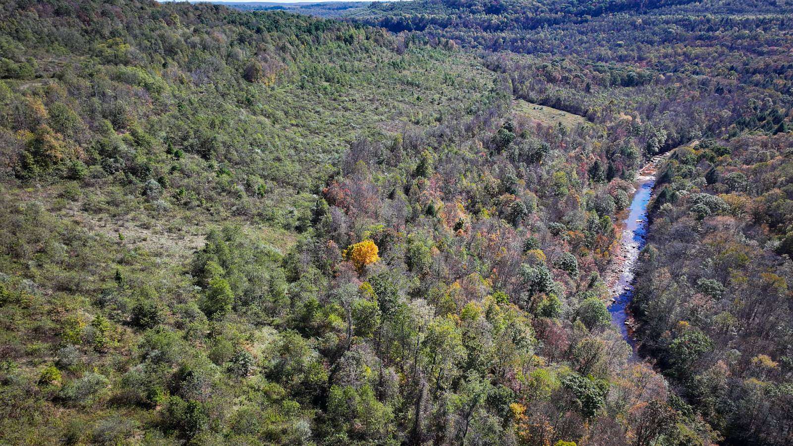 113 Acres of Recreational Land for Sale in Windber, Pennsylvania
