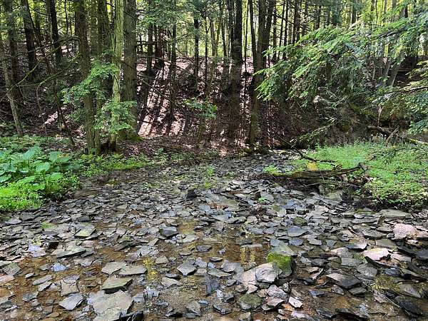 5.8 Acres of Land for Sale in Saegertown, Pennsylvania