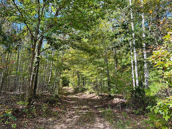228 Acres of Land for Sale in New Canton, Virginia