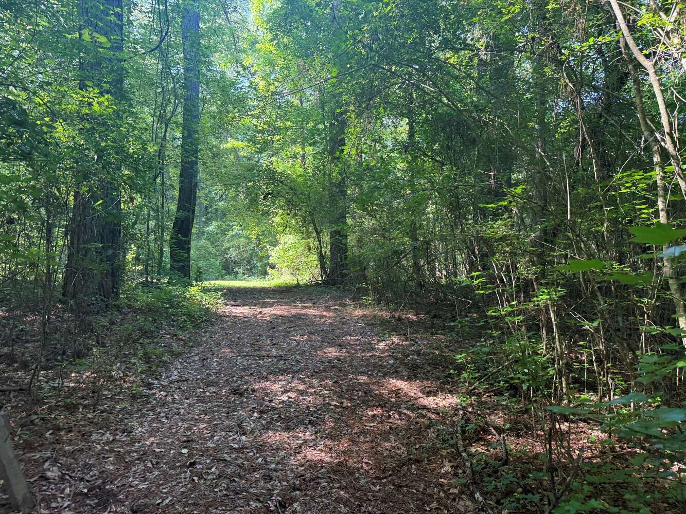 0.5 Acres of Residential Land for Sale in Sipsey, Alabama