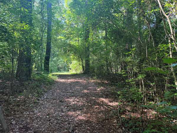 0.5 Acres of Residential Land for Sale in Sipsey, Alabama