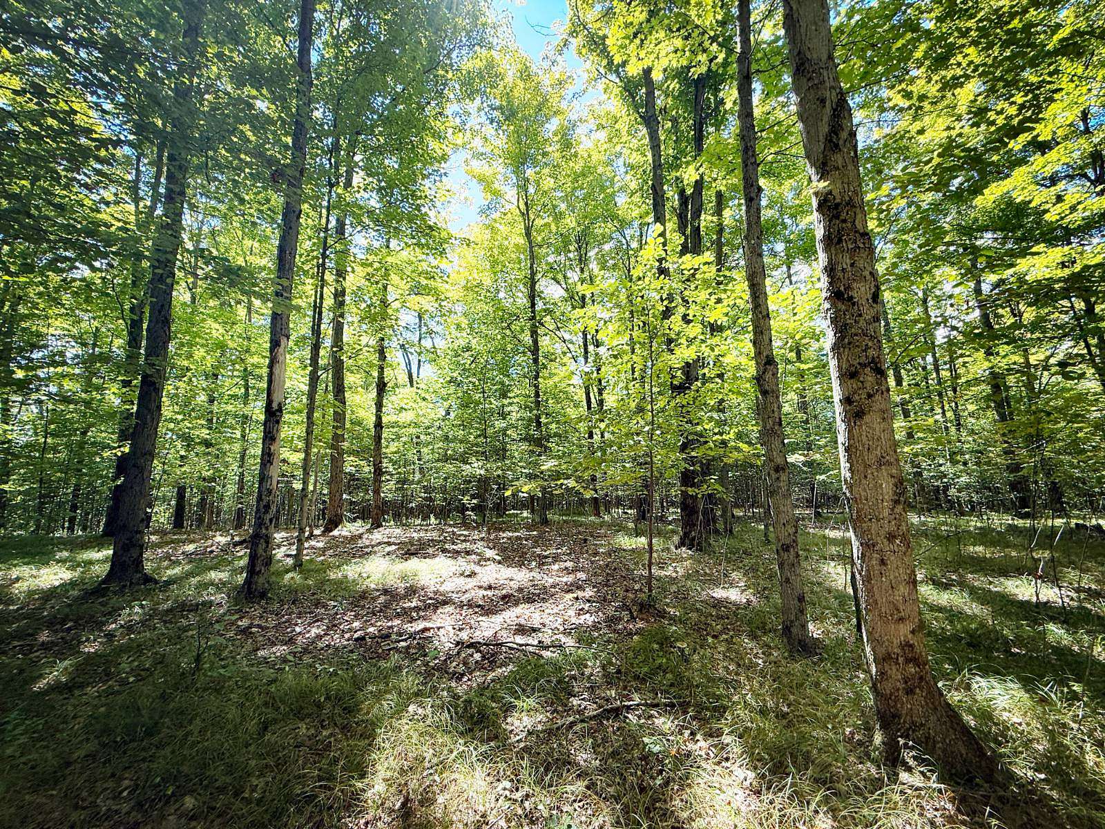 64 Acres of Recreational Land for Sale in Owego, New York