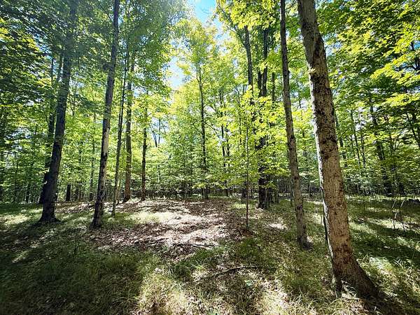 64 Acres of Recreational Land for Sale in Owego, New York
