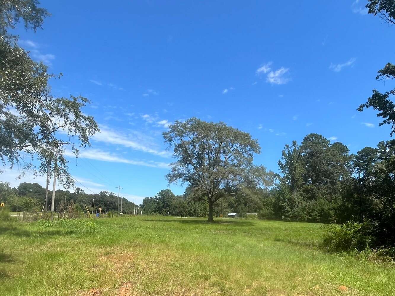 6 Acres of Agricultural Land for Sale in New Brockton, Alabama