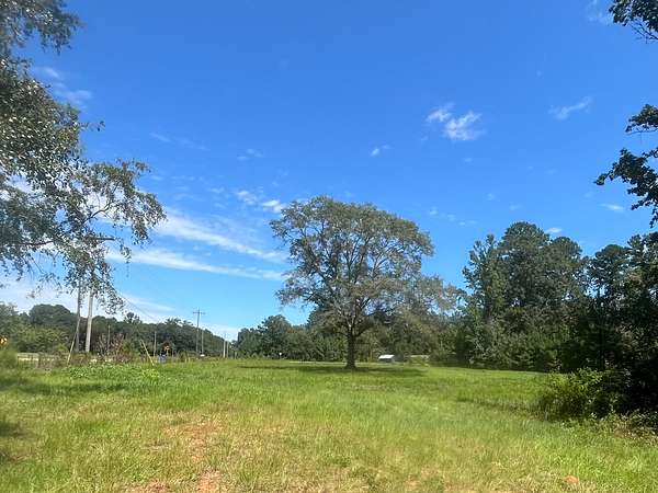 6 Acres of Agricultural Land for Sale in New Brockton, Alabama