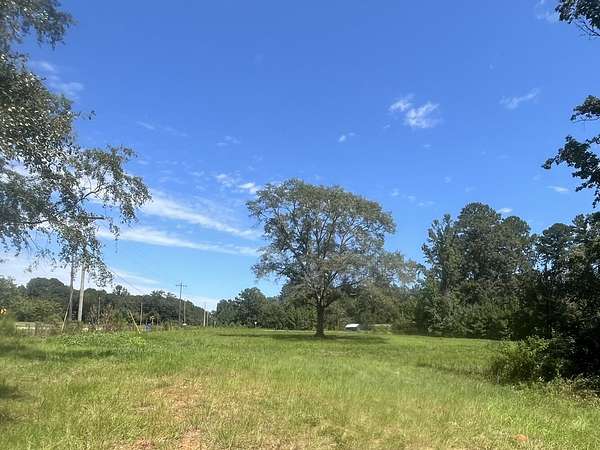 6 Acres of Agricultural Land for Sale in New Brockton, Alabama