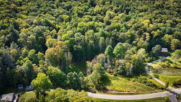 86.7 Acres of Recreational & Residential Land for Sale in Barton, New York