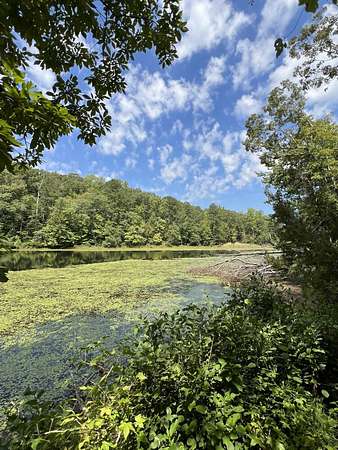 20 Acres of Recreational & Residential Land for Sale in Cottondale, Alabama