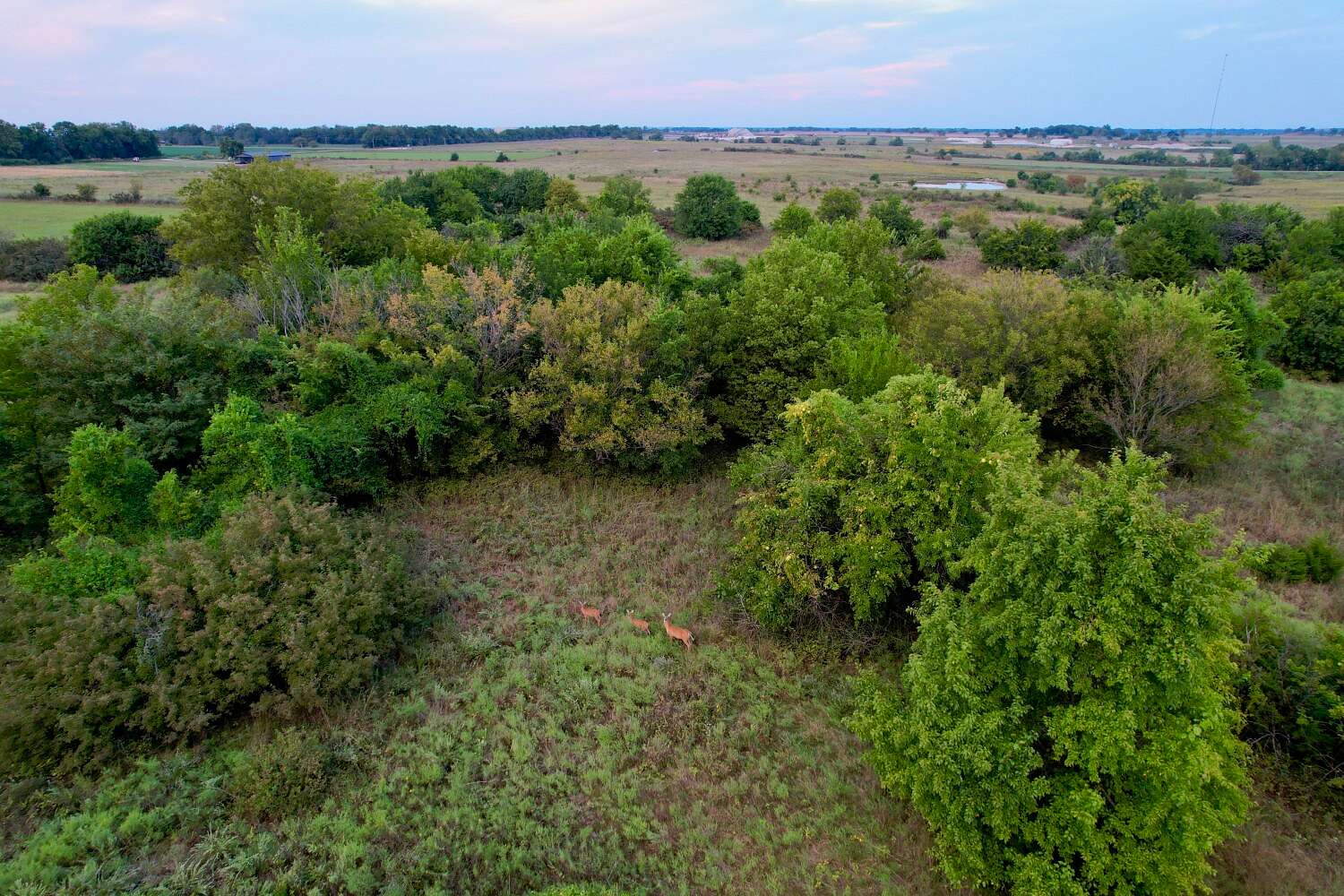76 Acres of Land for Sale in Chanute, Kansas