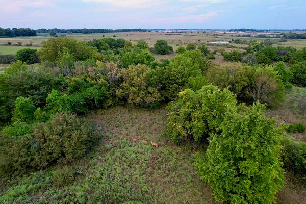 76 Acres of Land for Sale in Chanute, Kansas
