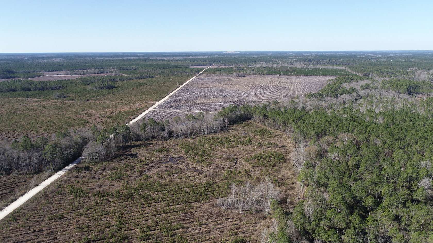202 Acres of Recreational & Residential Land for Sale in Jesup, Georgia