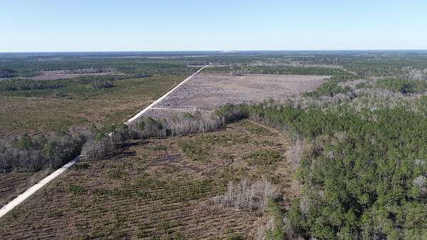 202 Acres of Recreational & Residential Land for Sale in Jesup, Georgia