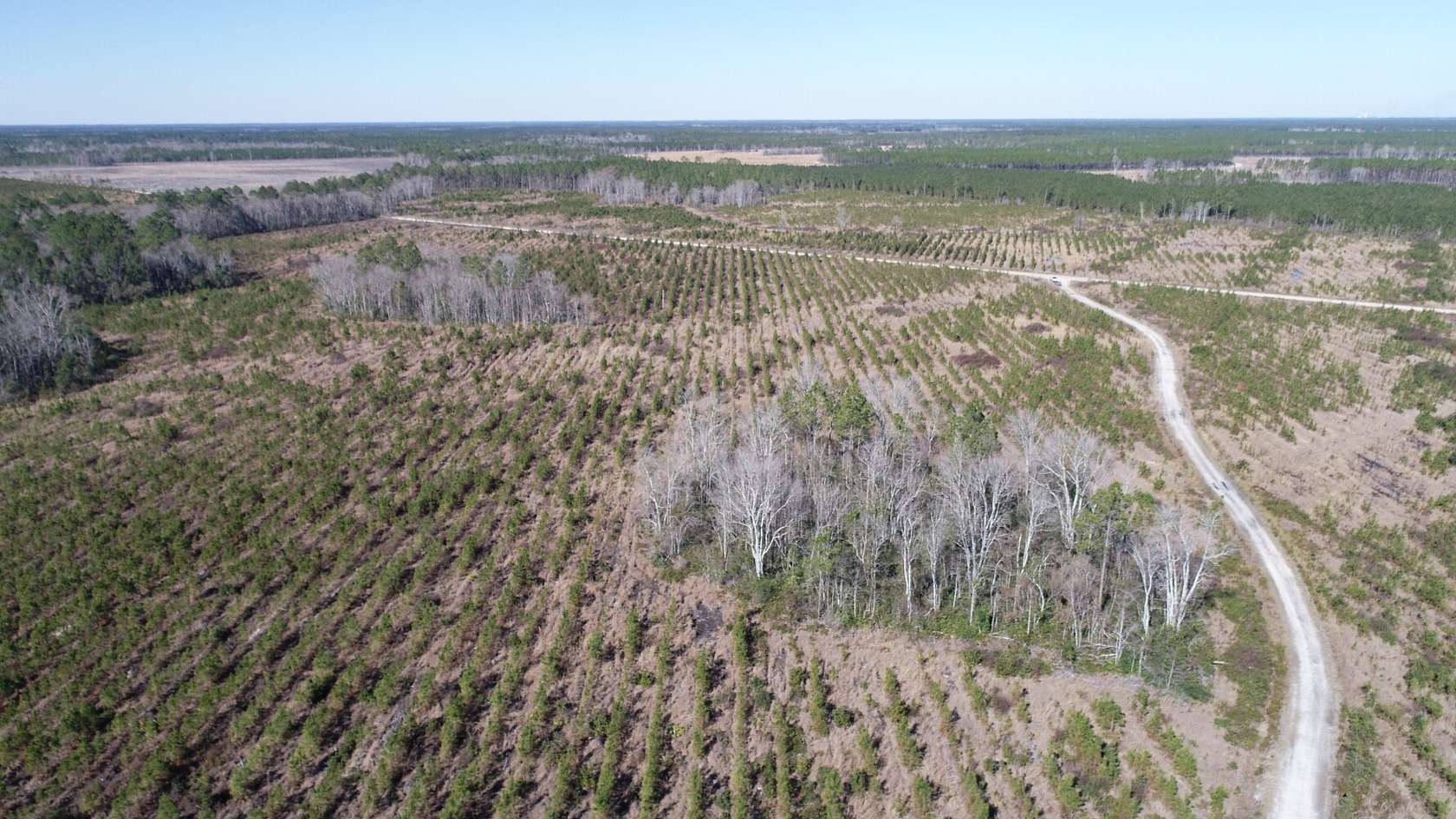 244 Acres of Recreational & Residential Land for Sale in Jesup, Georgia