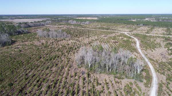 244 Acres of Recreational & Residential Land for Sale in Jesup, Georgia
