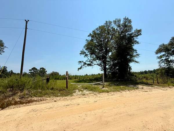 59 Acres of Recreational & Residential Land for Sale in McIntosh, Alabama