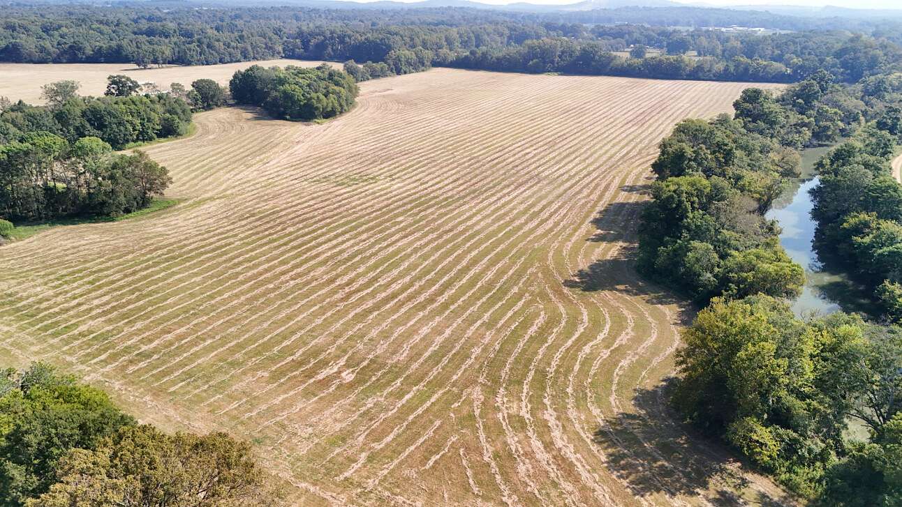 234 Acres of Recreational Land for Sale in Childersburg, Alabama