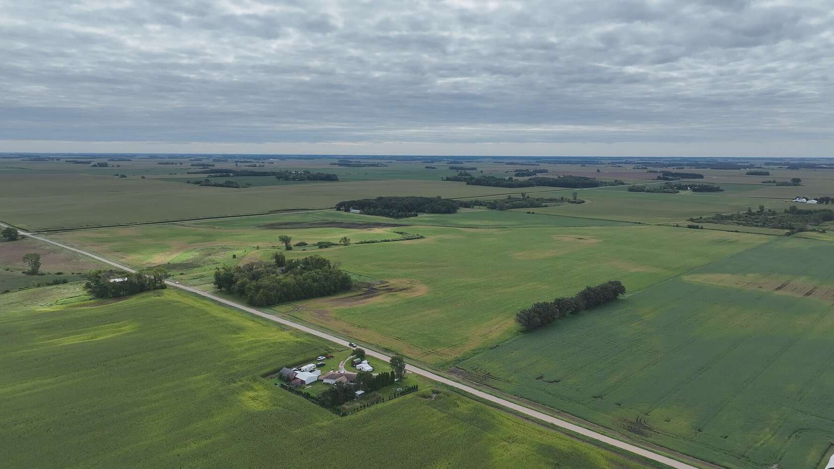121 Acres of Agricultural Land for Sale in Ellendale, Minnesota