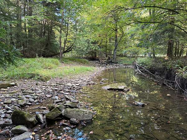 24 Acres of Recreational Land for Sale in Youngsville, Pennsylvania