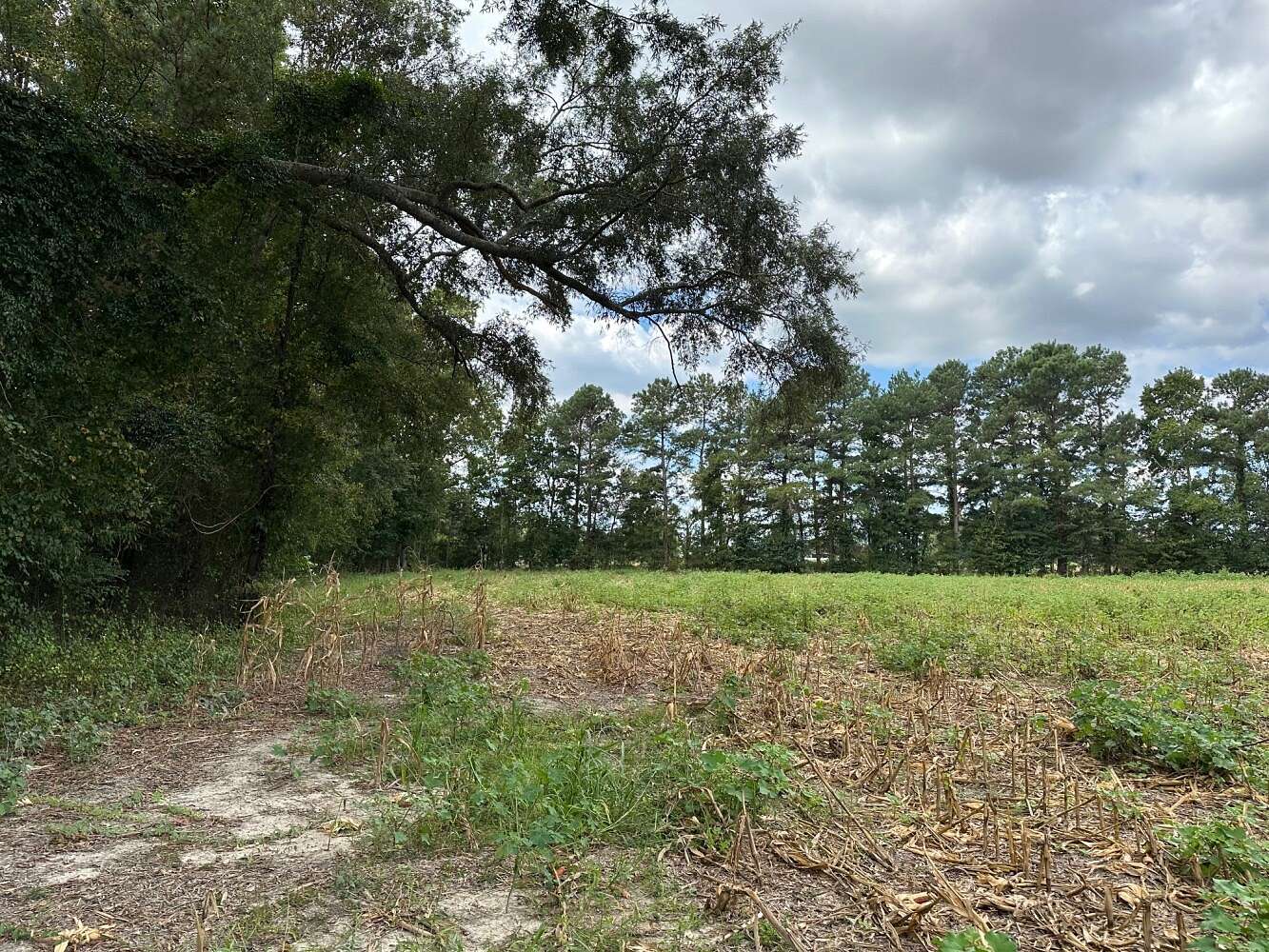 15.2 Acres of Land for Sale in Rowland, North Carolina