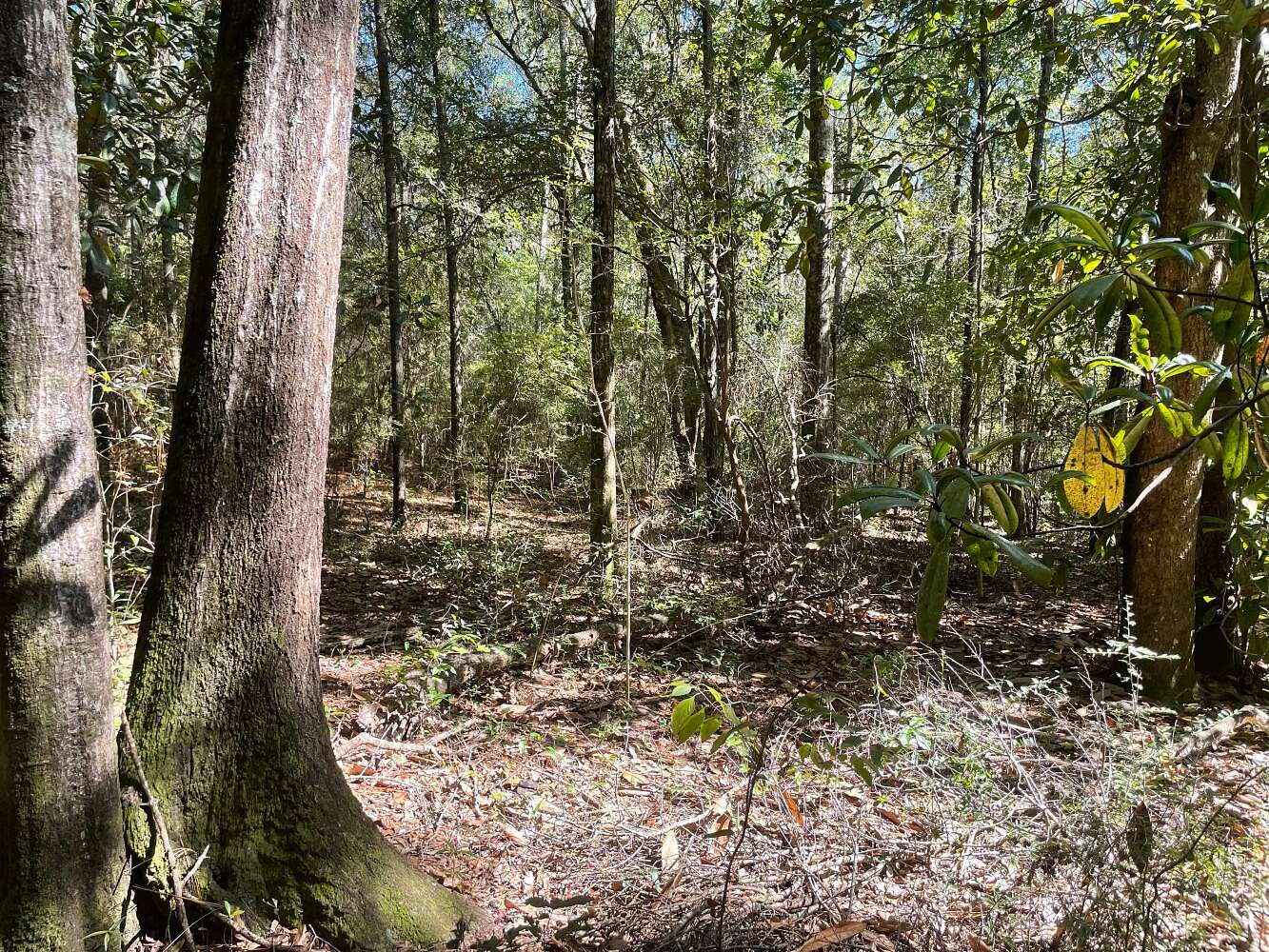 3.3 Acres of Land for Sale in Mobile, Alabama