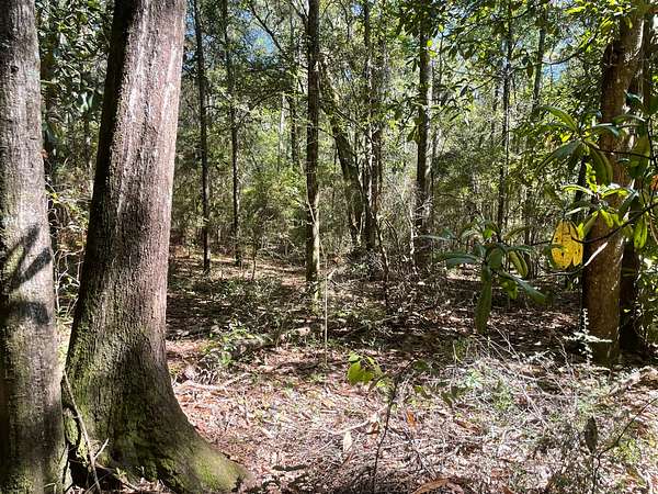 3.3 Acres of Land for Sale in Mobile, Alabama