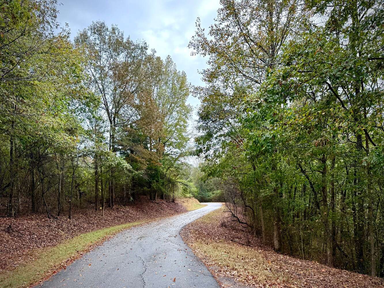 9 Acres of Residential Land for Sale in Sipsey, Alabama