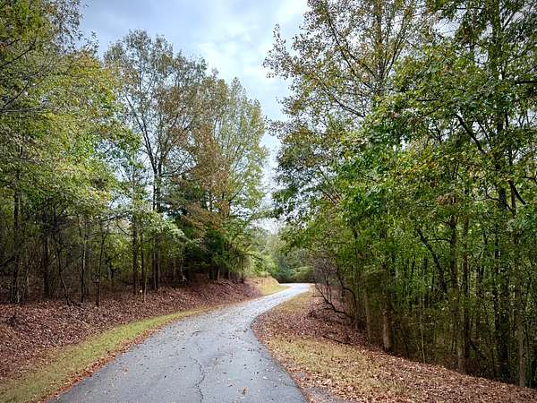9 Acres of Residential Land for Sale in Sipsey, Alabama