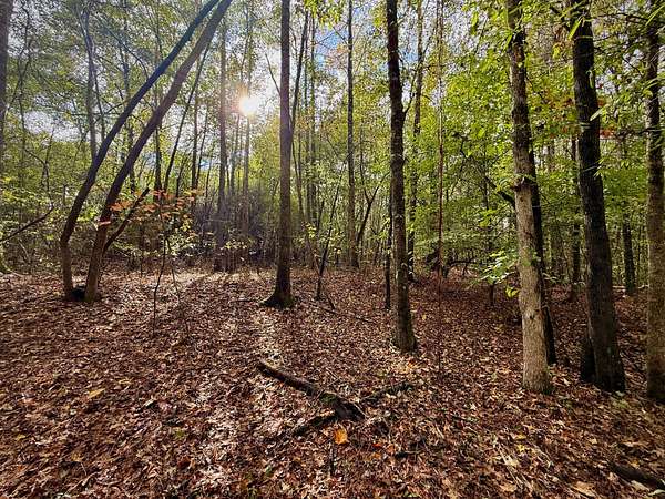 2.7 Acres of Land for Sale in Sipsey, Alabama