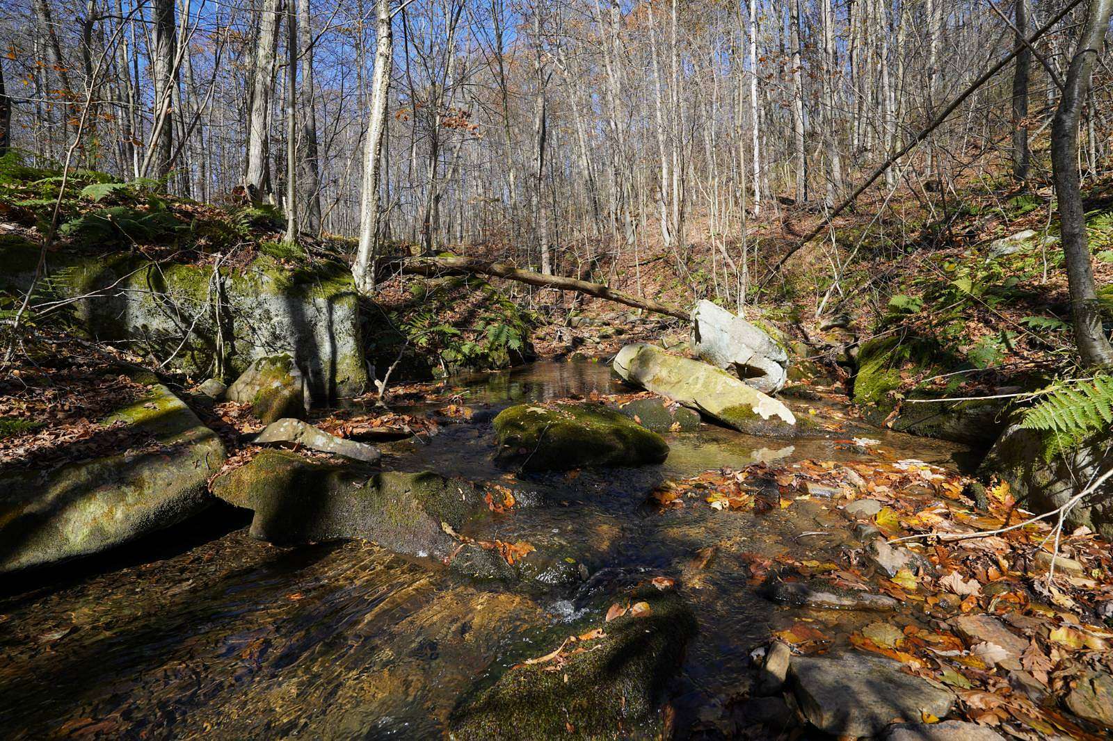 11 Acres of Recreational Land for Sale in Rockwood, Pennsylvania