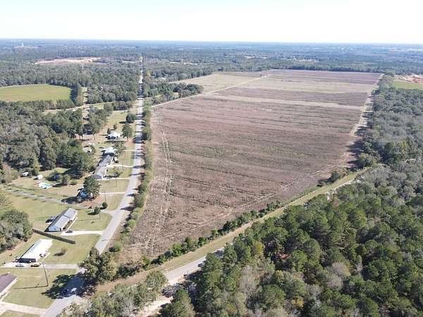 175 Acres of Agricultural Land for Sale in Dothan, Alabama