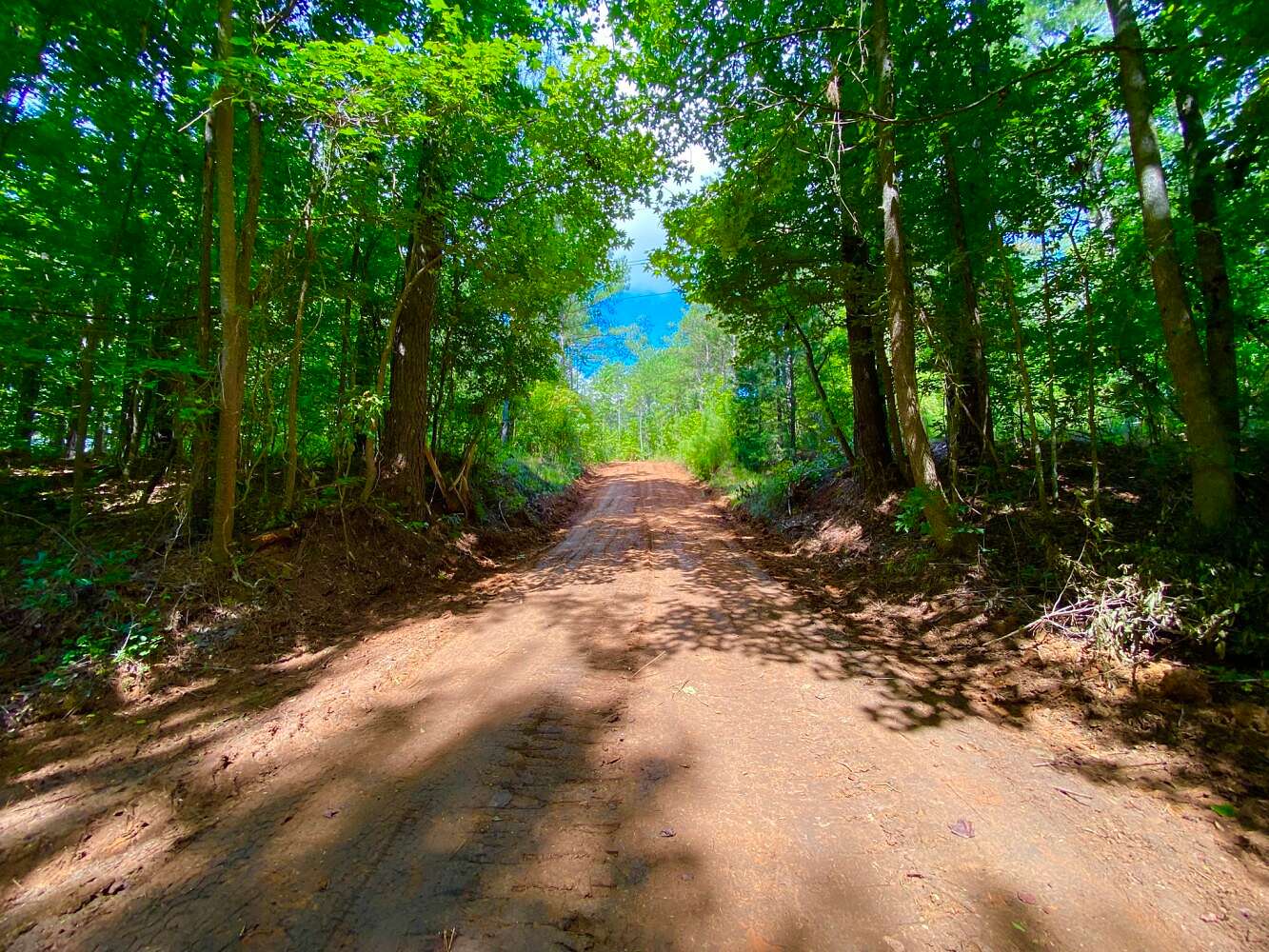 35 Acres of Recreational & Residential Land for Sale in Marion, Alabama